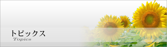 トピックス